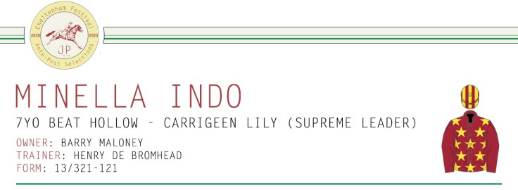 Ante-Post Article Horse Name Header Image - Minella Indo