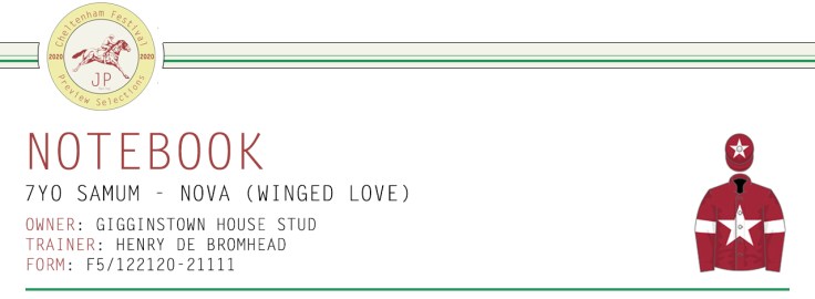 .Preview Article Horse Name Header Image - Notebook