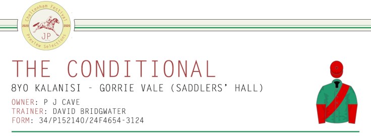 .Preview Article Horse Name Header Image - The Conditional