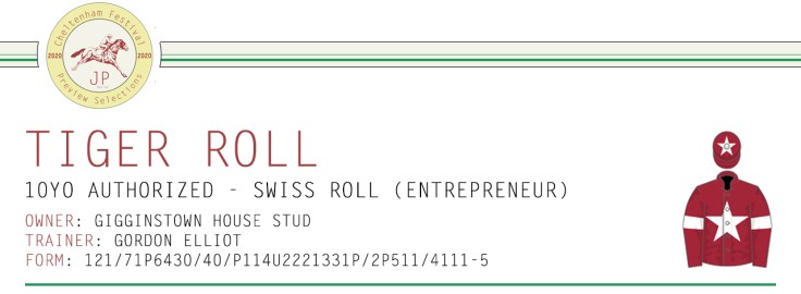 .Preview Article Horse Name Header Image - Tiger Roll